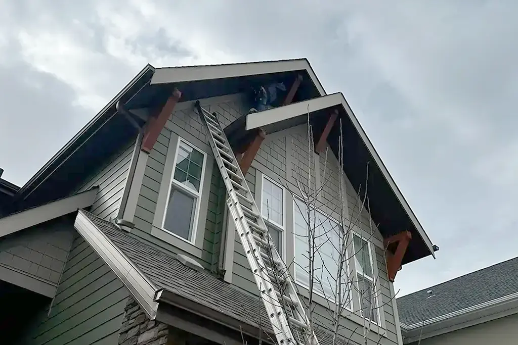 Specialized Wildlife And General Pest Control Home 6